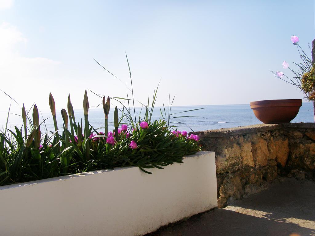 Palastura Apartments Ulcinj Eksteriør billede