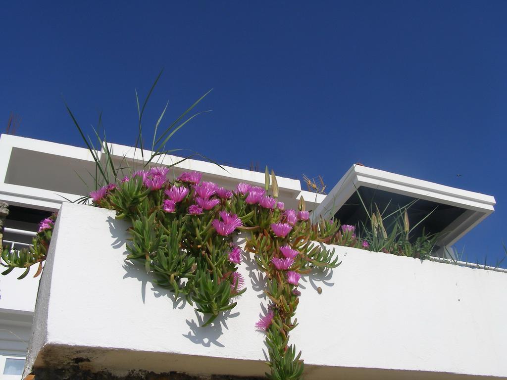 Palastura Apartments Ulcinj Eksteriør billede